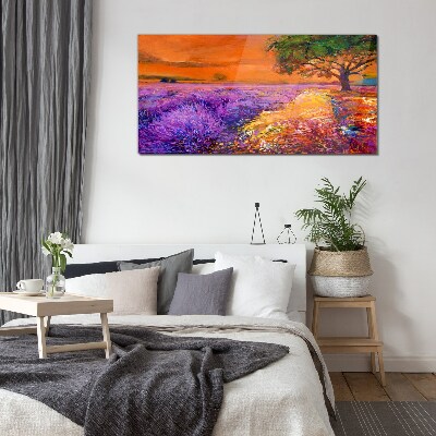 Lavender fields in sunset Glass Print