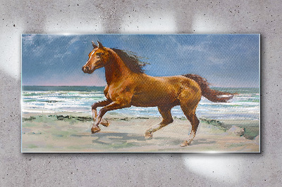 Beach coast waves of the sea horse Glass Wall Art