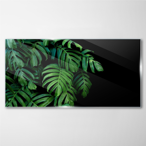 Green leaves on a black background Glass Wall Art