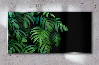 Green leaves on a black background Glass Wall Art