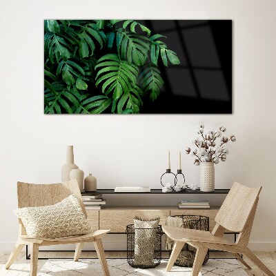 Green leaves on a black background Glass Wall Art