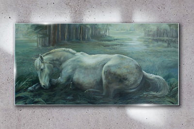 A calm horse in a forest landscape Glass Wall Art