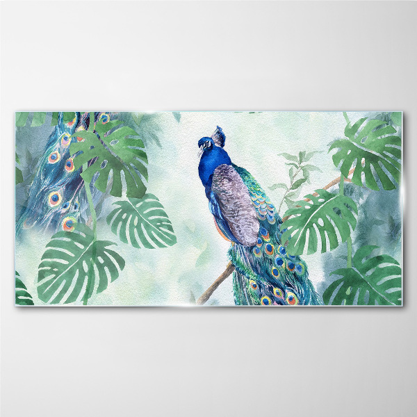 Peacock in the tropical jungle Glass Wall Art