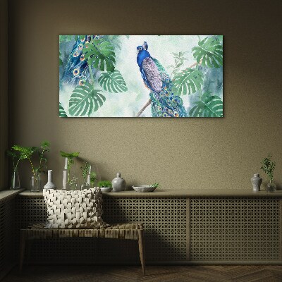Peacock in the tropical jungle Glass Wall Art