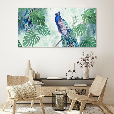 Peacock in the tropical jungle Glass Wall Art