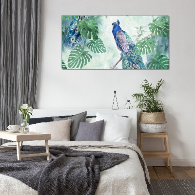 Peacock in the tropical jungle Glass Wall Art