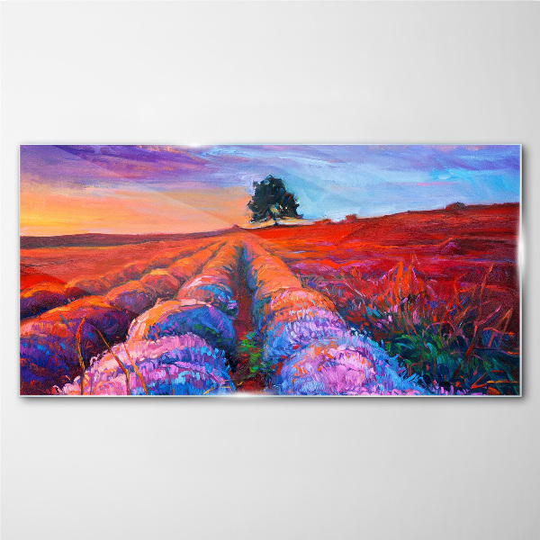 Landscape of lavender fields at sunset Glass Print