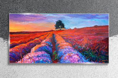 Landscape of lavender fields at sunset Glass Print