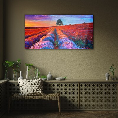 Landscape of lavender fields at sunset Glass Print