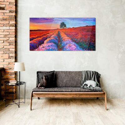 Landscape of lavender fields at sunset Glass Print