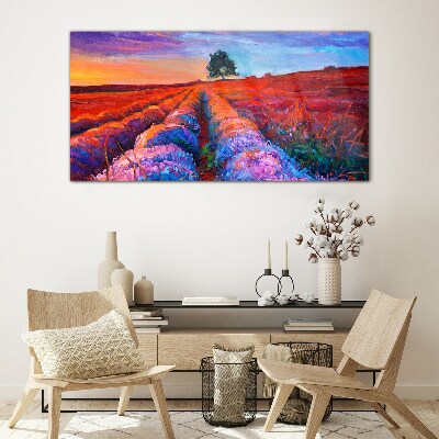Landscape of lavender fields at sunset Glass Print