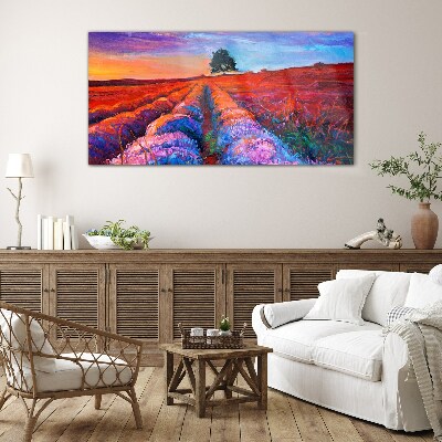 Landscape of lavender fields at sunset Glass Print