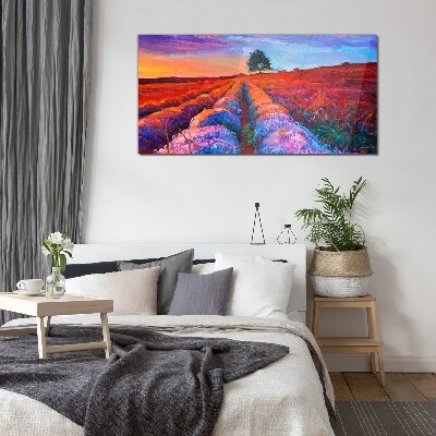 Landscape of lavender fields at sunset Glass Print