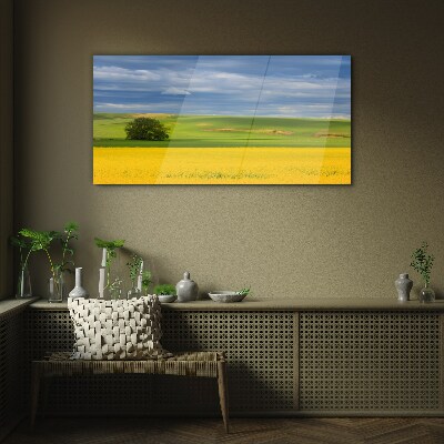 Yellow fields under blue sky Glass Wall Art