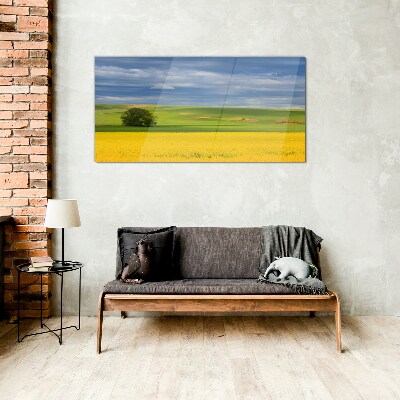 Yellow fields under blue sky Glass Wall Art