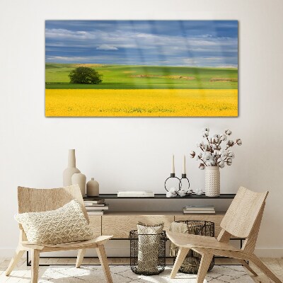 Yellow fields under blue sky Glass Wall Art