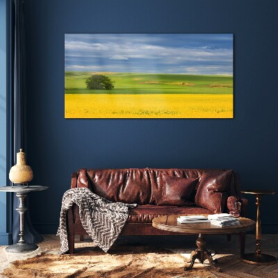 Yellow fields under blue sky Glass Wall Art