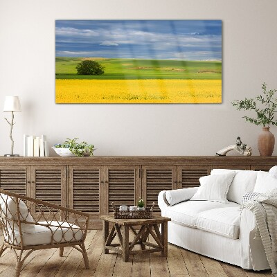 Yellow fields under blue sky Glass Wall Art