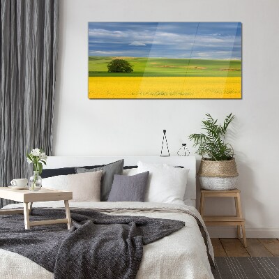 Yellow fields under blue sky Glass Wall Art