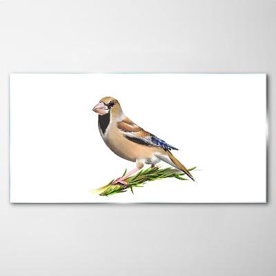 A bird on a branch Glass Wall Art