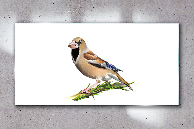 A bird on a branch Glass Wall Art
