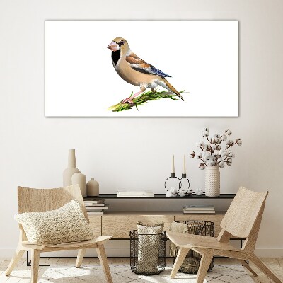 A bird on a branch Glass Wall Art