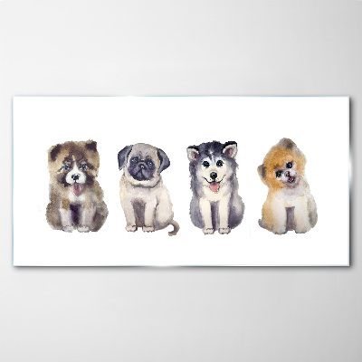 Four adorable puppies Glass Wall Art