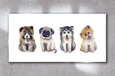 Four adorable puppies Glass Wall Art