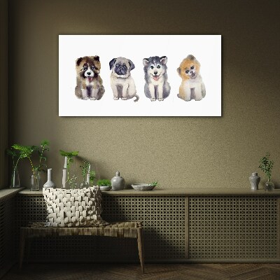 Four adorable puppies Glass Wall Art