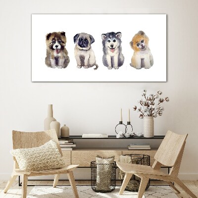 Four adorable puppies Glass Wall Art