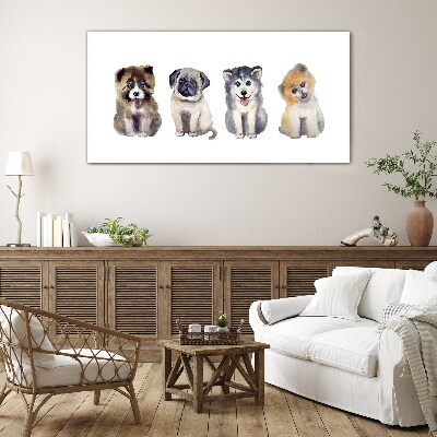 Four adorable puppies Glass Wall Art