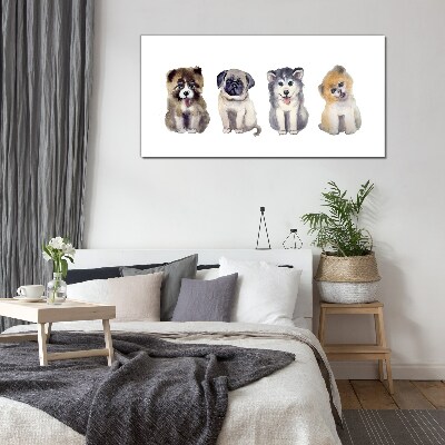 Four adorable puppies Glass Wall Art