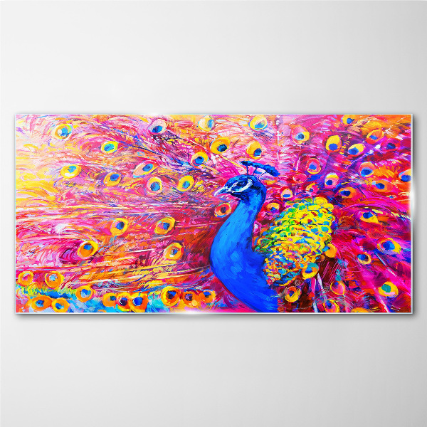 Colorful peacock in spring glow Glass Wall Art