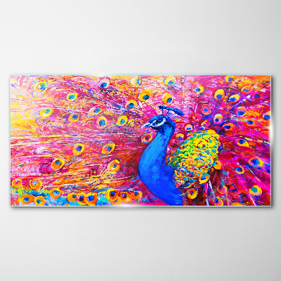 Colorful peacock in spring glow Glass Wall Art