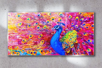 Colorful peacock in spring glow Glass Wall Art