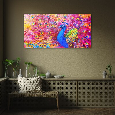 Colorful peacock in spring glow Glass Wall Art