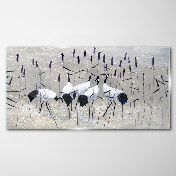 White cranes in the reeds Glass Wall Art
