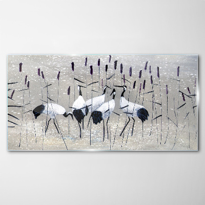 White cranes in the reeds Glass Wall Art