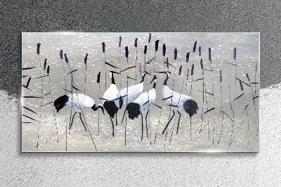White cranes in the reeds Glass Wall Art