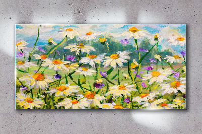 A flower paradise in the summer sun Glass Wall Art