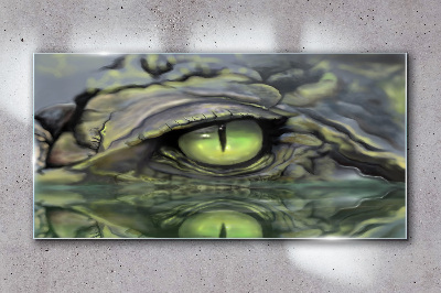 Frog's eye in water reflection Glass Wall Art