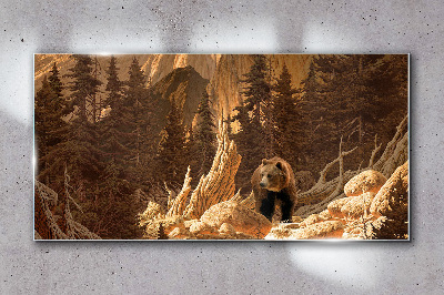 Grizzly in a mountain landscape Glass Wall Art