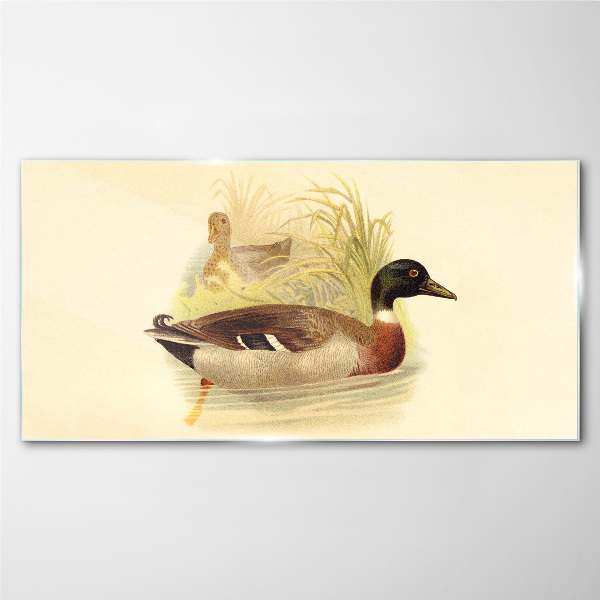 Ducks in the grass Glass Wall Art