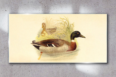 Ducks in the grass Glass Wall Art