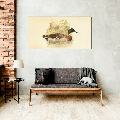 Ducks in the grass Glass Wall Art