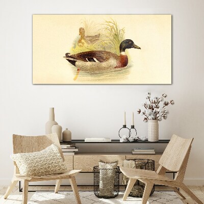 Ducks in the grass Glass Wall Art