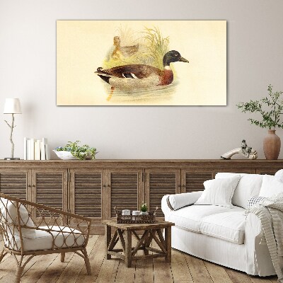 Ducks in the grass Glass Wall Art
