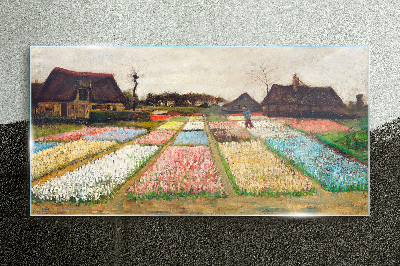 Spring tulip fields Glass Wall Art