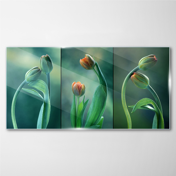 Tulips in shades of green Glass Wall Art