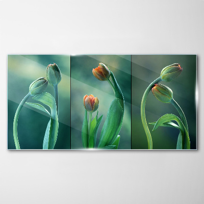 Tulips in shades of green Glass Wall Art